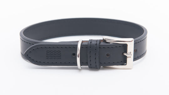 AMALFI - APPLE LEATHER DOG COLLAR