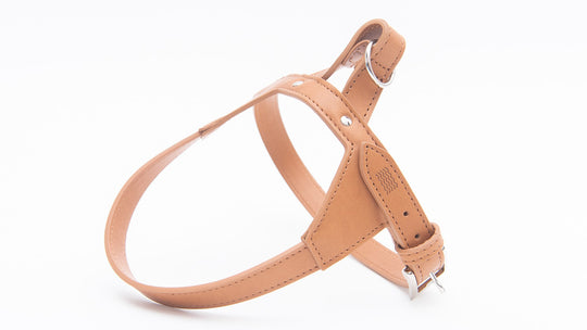 TYROL - APPLE LEATHER DOG HARNESS