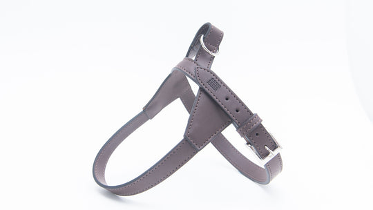 LUCCA - APPLE LEATHER DOG HARNESS