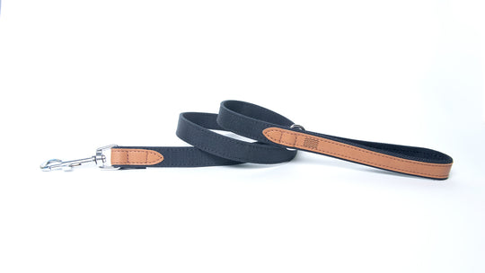 FLORENCE - APPLE LEATHER DOG LEASH