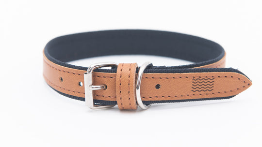 FLORENCE - APPLE LEATHER DOG COLLAR
