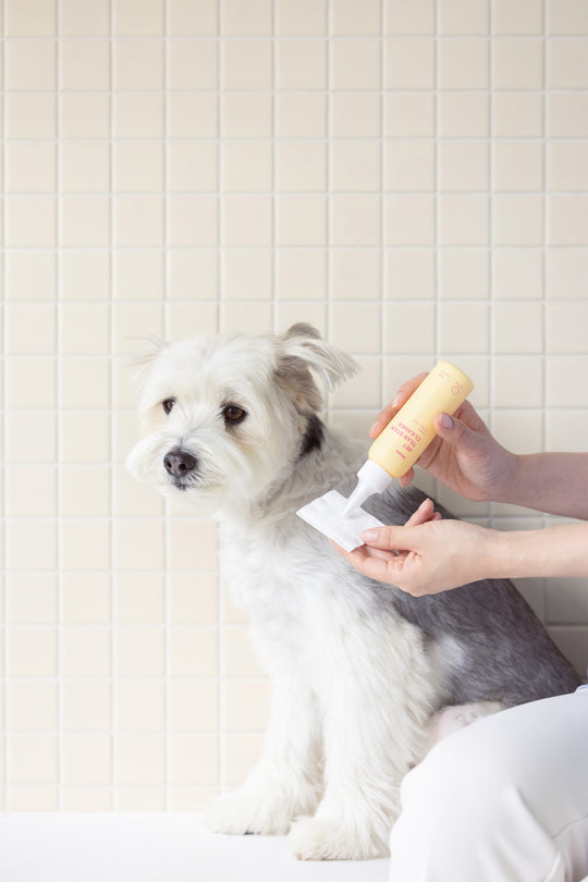 INOOM PET TEAR STAIN CLEANER