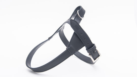 AMALFI - APPLE LEATHER DOG HARNESS