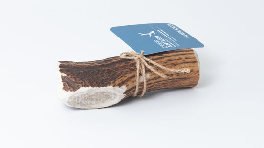 DEER ANTLER FOR DOG