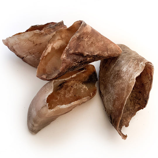 DRIED COW HOOVES