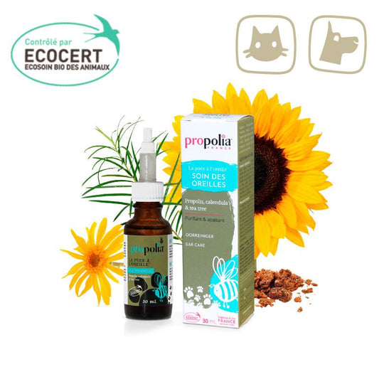 EAR CARE WITH PROPOLIS, CALENDULA  TEA TREE
